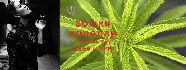 молекула духа Аркадак